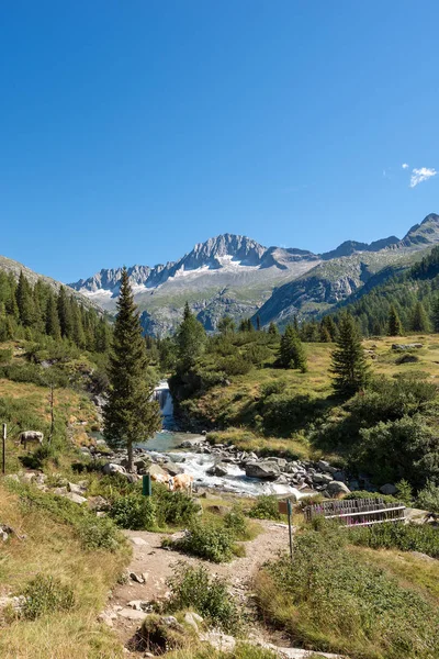 Peak of Care Alto - Adamello Trento Italy — Stock Photo, Image