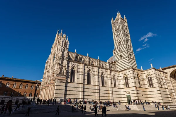 Sienas Katedral Santa Maria Assunta 1220 1370 Med Klar Blå — Stockfoto