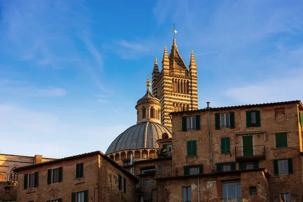 Siena Katedrali Santa Maria Assunta 1220 1370 Eski Evler Toscana — Stok fotoğraf