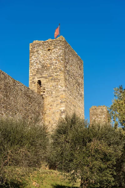 Detalhe Cidade Fortificada Monteriggioni Antiga Vila Medieval Perto Siena Toscana — Fotografia de Stock