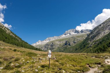 Zirve, bakım Alto (3462 m) içinde Milli Parkı, Adamello Val di Fumo görülen Brenta. Trentino Alto Adige, İtalya, Europe