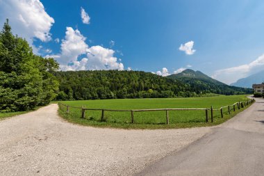 Orman ve yaz yeşil çim. Val di Sella (Sella Vadisi), Borgo Valsugana, Trento, Trentino Alto Adige, Ital