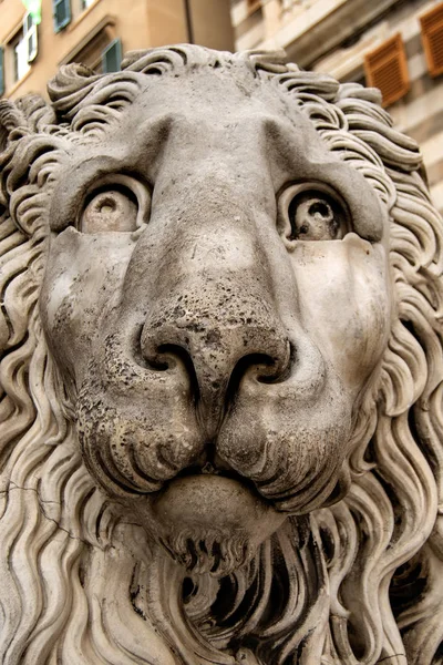 Sculpture Stone Lion Cathedral Lawrence San Lorenzo Xii Xiv Century — Stock Photo, Image