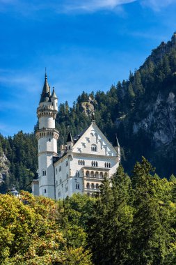 Neuschwanstein Kalesi Almanya - Schwangau Bavyera