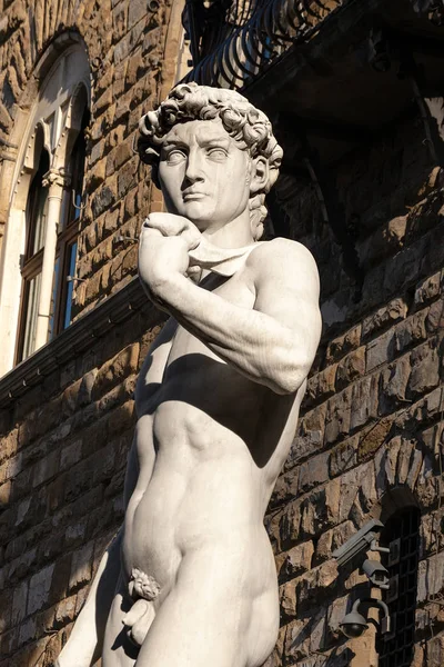Standbeeld Van David Van Michelangelo Buonarroti Meesterwerk Van Renaissance Beeldhouwkunst — Stockfoto