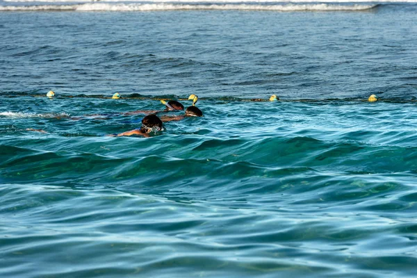 Tres Personas Están Buceando Sobre Arrecife Coral Mar Rojo Cerca —  Fotos de Stock