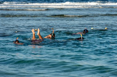 Beş kişi Marsa Alam, Mısır, Afrika yakınındaki Red Sea'deki/daki mercan resif üzerinde şnorkel.