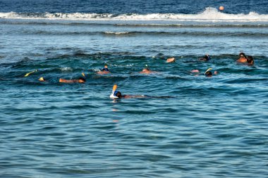 Bir grup insan üzerinde mercan Marsa Alam, Mısır, Afrika yakınındaki Red Sea'deki/daki Şnorkelle Yüzme.