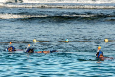 Marsa Alam, Mısır, Afrika yakınındaki Red Sea'deki/daki mercan resif üzerinde üç kişi şnorkel