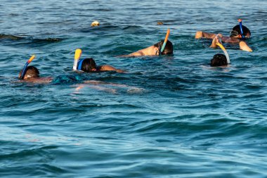 Bir grup insan üzerinde mercan Marsa Alam, Mısır, Afrika yakınındaki Red Sea'deki/daki Şnorkelle Yüzme.