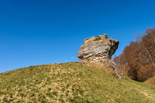 Limestone Monolith Unusual Karst Erosion Formation Regional Natural Park Lessinia — Stock Photo, Image