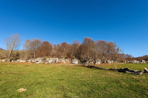 Karst Rock Formations and Forest in Lessinia Italia — Fotografia de Stock