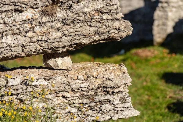 Kaksi Kalkkikiveä Karstin Eroosio Joiden Kivi Sijaitsee Lessinian Alueellisessa Luonnonpuistossa — kuvapankkivalokuva