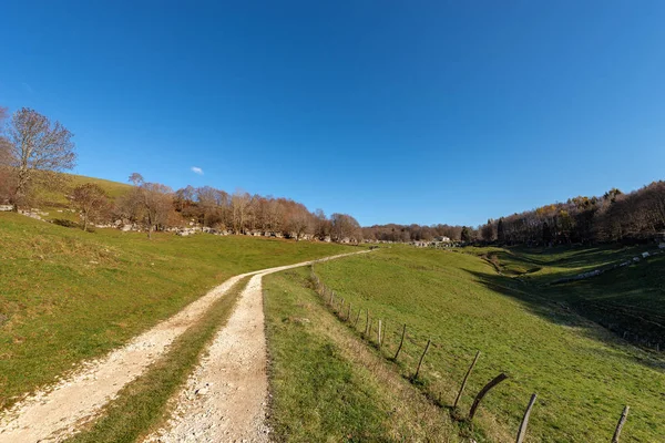 Strada Campagna Con Prato Verde Pascoli Formazioni Rocciose Carsiche Nel — Foto Stock