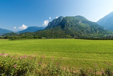 Yeşil çayırlar ve Sugana Vadisi (Valsugana) Trentino Alto Adige, İtalya, Avrupa'nın Dağları