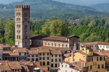 Lucca Antik şehir Basilica San Frediano (XII. yüzyıl) ile havadan görünümü. Toscana (Toskonya), İtalya, Europe