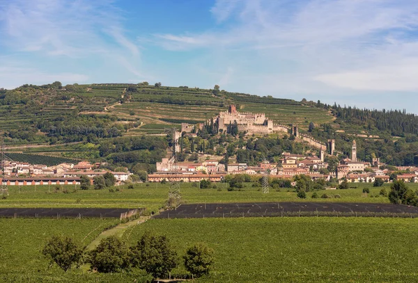 中世纪的村庄的加达湖维罗纳附近与城堡 绿色的群山和著名葡萄种植技术 — 图库照片