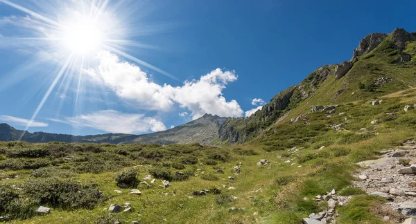 Picos Alpinos Castello Parque Nacional Adamello Brenta Trentino Alto Adigio — Foto de Stock