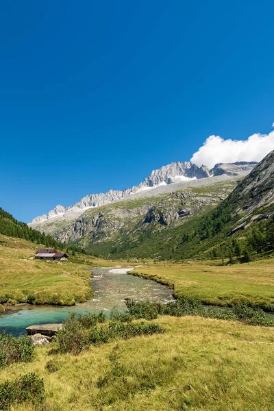 Peak Care Alto 3462 Chiese River National Park Adamello Brenta — Stock Photo, Image