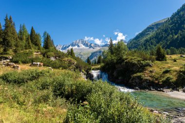 Zirve, bakım Alto (3462 m) ve nehir Chiese içinde Milli Parkı, Adamello Val di Fumo görülen Brenta. Trentino Alto Adige, İtalya