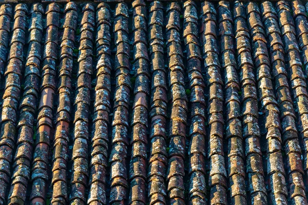 Background Old Roof Tiles Pantile Coppo Moss Lichens Tuscany Italy — Stock Photo, Image