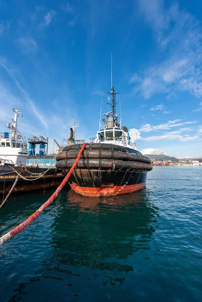 Taubåter Fortøyd Havnen Spezia Liguria Italia Europa – stockfoto