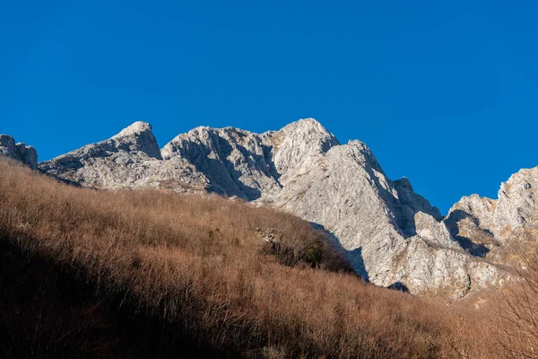 Télen Rock Csupasz Fák Apuan Alpok Alpi Apuane Csúcs Garfagnana — Stock Fotó