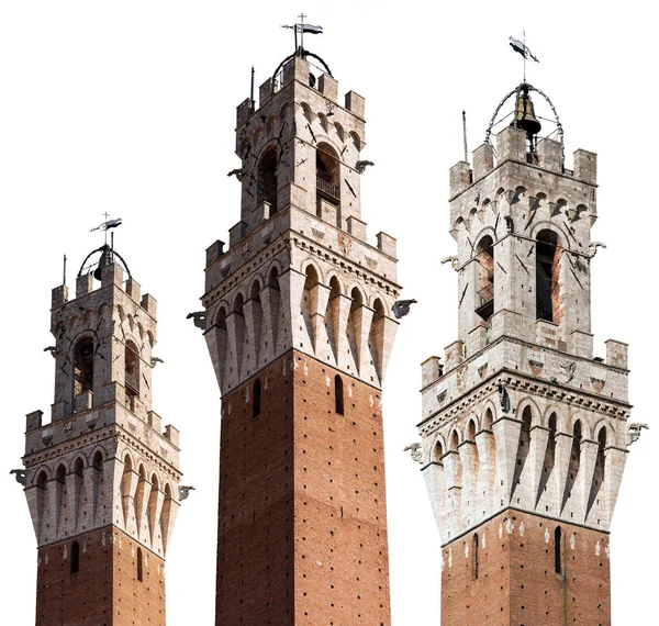 Torre Del Mangia Věž Mangia Izolované Bílém Pozadí Siena Toskánsko — Stock fotografie