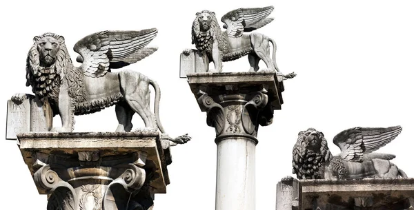 Крылатый Лев Святого Марка Leone San Marco Изолирован Белом Символ — стоковое фото