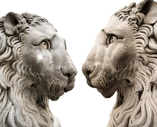 Sculptures Two Lions Statues Isolated White Exterior Cathedral San Lorenzo — Stock Photo, Image