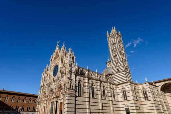 Siena Cathedral Santa Maria Assunta 1220 1370 Clear Blue Sky — Stock Photo, Image