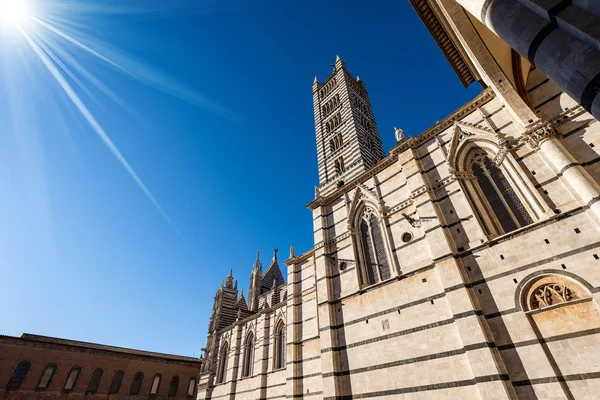 Siena Cathedral Santa Maria Assunta 1220 1370 Clear Blue Sky — Stock Photo, Image