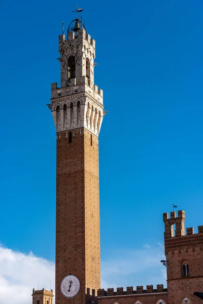 Torre Del Mangia Piazza Del Campo 1348 Ancient City Siena — Stock Photo, Image