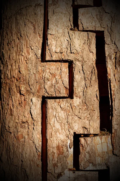 棕色木制背景 树干的极端特写镜头 — 图库照片