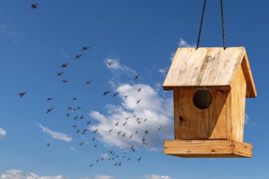 Bulutlar ve uçuş ile mavi gökyüzü üzerinde ahşap küçük kuş yuvası
