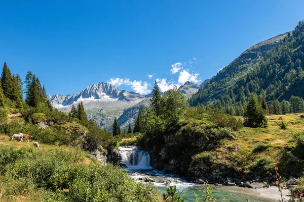 Adamello Brenta National Park - Trentino Italy — Stock Photo, Image