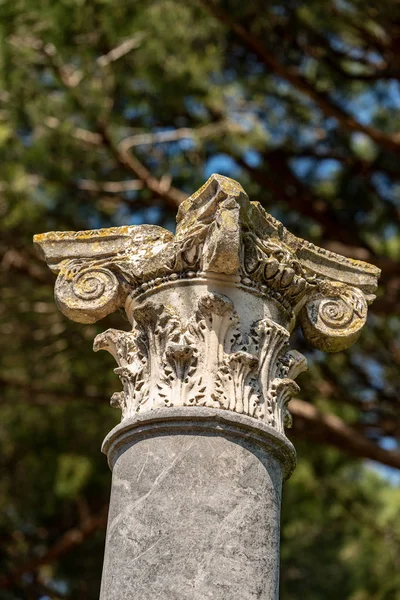 Kolona s vlastním kapitálem v Corinthianském stylu-Ostia Antica Řím — Stock fotografie