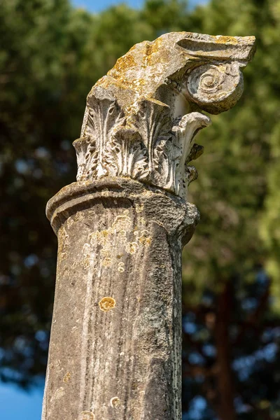 Kolumna z kapitałem w stylu Korynckiej-Ostia Antica Rzym — Zdjęcie stockowe