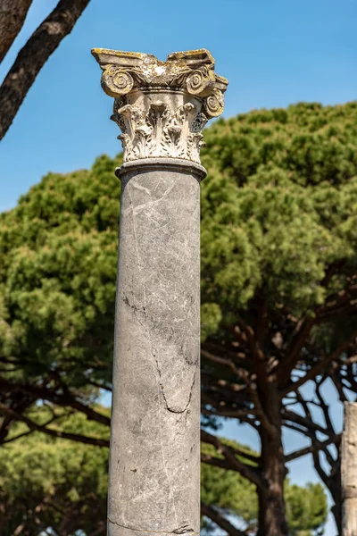 Kolona s vlastním kapitálem v Corinthianském stylu-Ostia Antica Řím — Stock fotografie