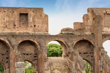 Roma Colosseo - İtalya'da Antik kolezyum