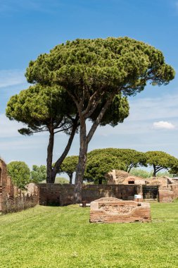 Ostia Antica Eski Roma kalıntıları - Roma İtalya
