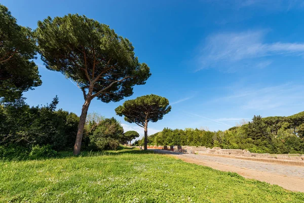 Decumanus Maximus Roman road - Ostia Antica Roma Italia — Foto de Stock