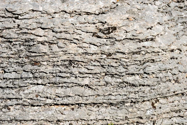Arrière-plan de rocher stratifié - Pierre de Lessinia Italie — Photo
