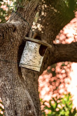 Bir huş gövdesi ile yapılan Birdhouse