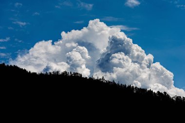 Mavi gökyüzü ve bulutlar ile dağda orman Silueti