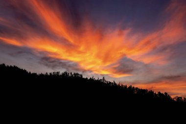 Gün batımında dağda bir ormanın siyah silueti