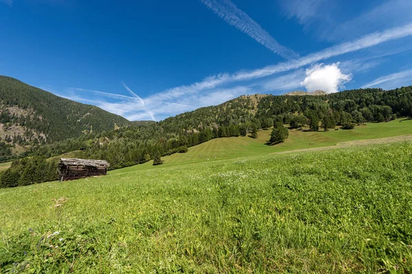 Rétek és erdők a hegyekben-val di Fiemme Trentino Olaszország — Stock Fotó