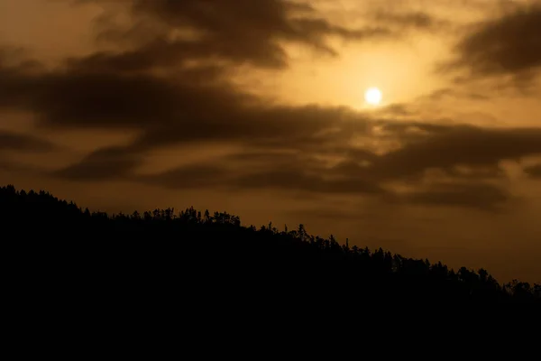 Silhouette nera di una foresta in montagna all'alba — Foto Stock