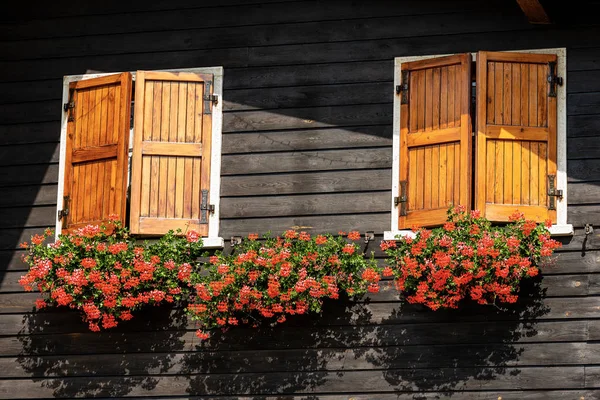 Chalet de madera de montaña con ventanas y geranios rojos - Italia —  Fotos de Stock