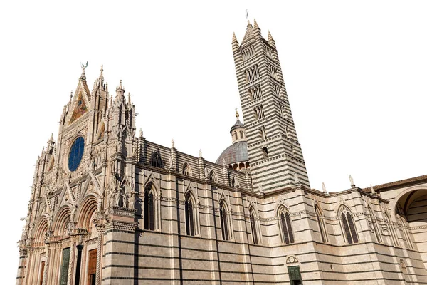 锡耶纳大教堂，白色背景隔离-托斯卡纳意大利 — 图库照片